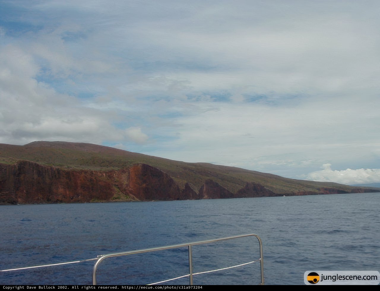 Serenity on the High Seas