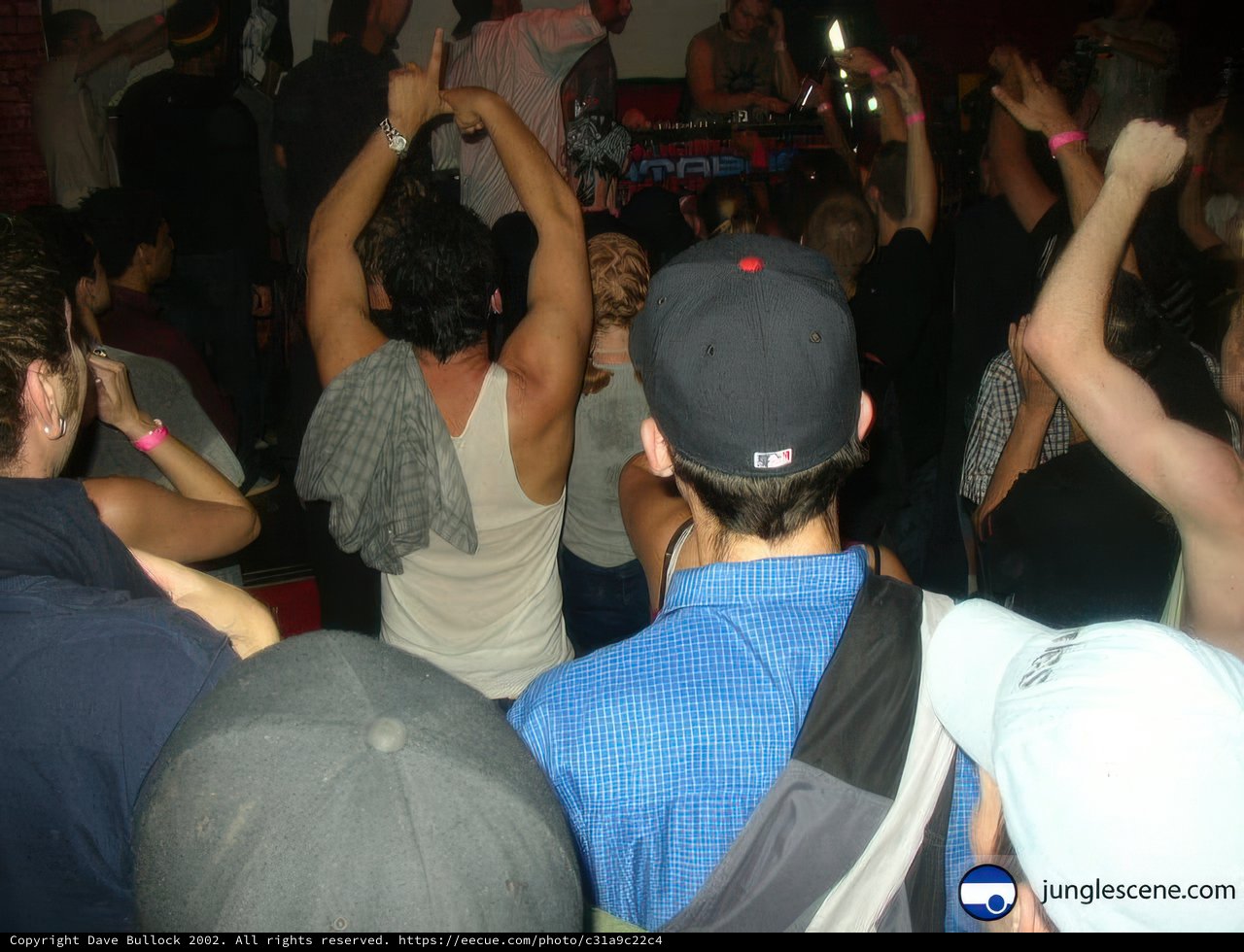 Club-goers Celebrate at Nightclub