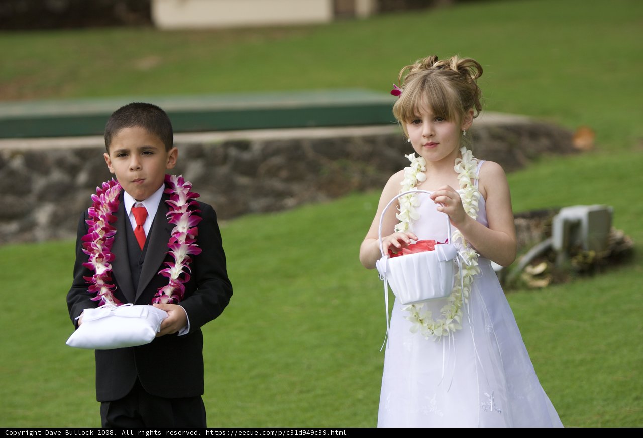 Wedding Ceremony with Two Young Flower Girls
