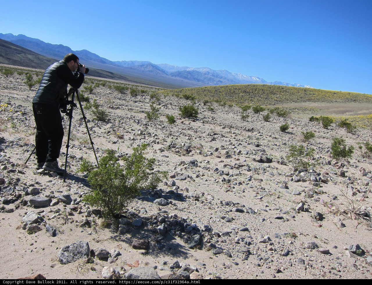 Capturing the Beauty of the Desert