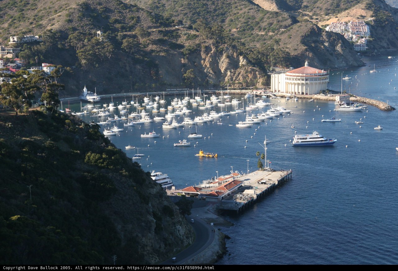 A Bustling Harbor Scene