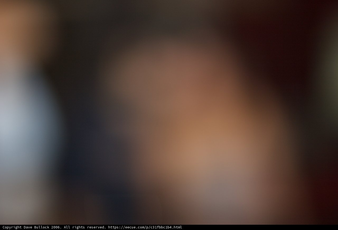 Blurred Bird in a Blurred World