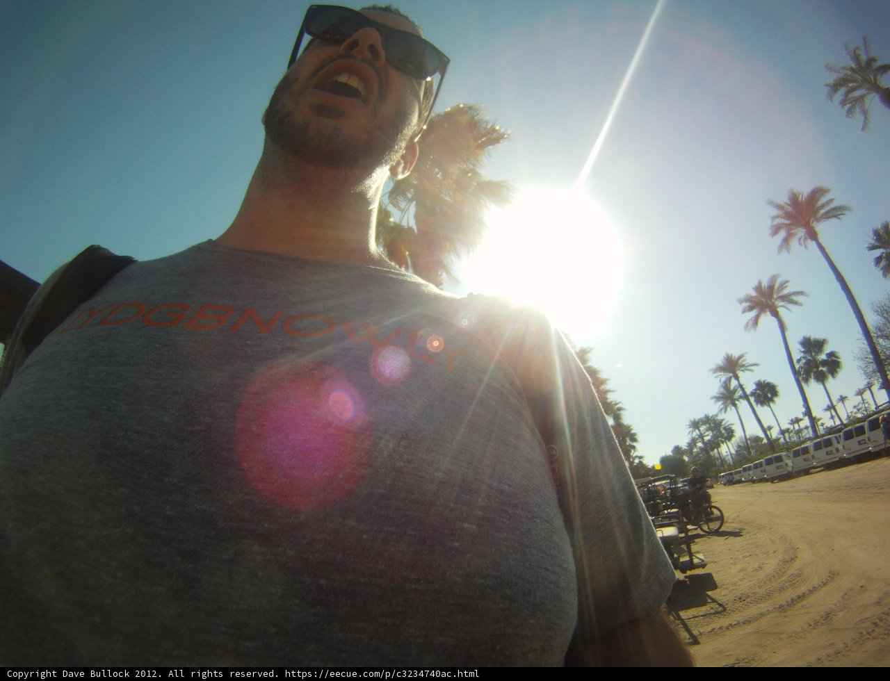 Palm Tree Chill