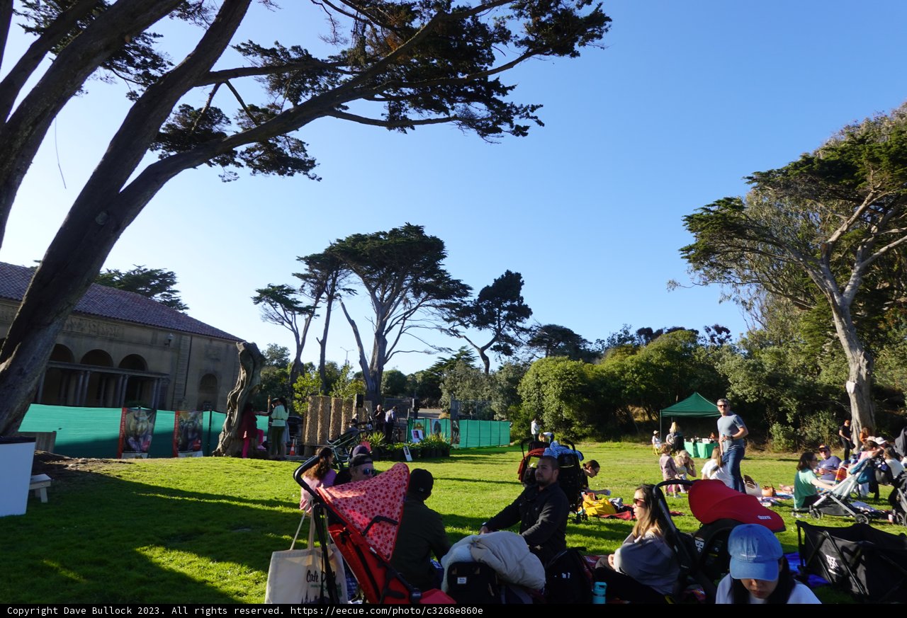 Summer Picnic in the Park, 2023