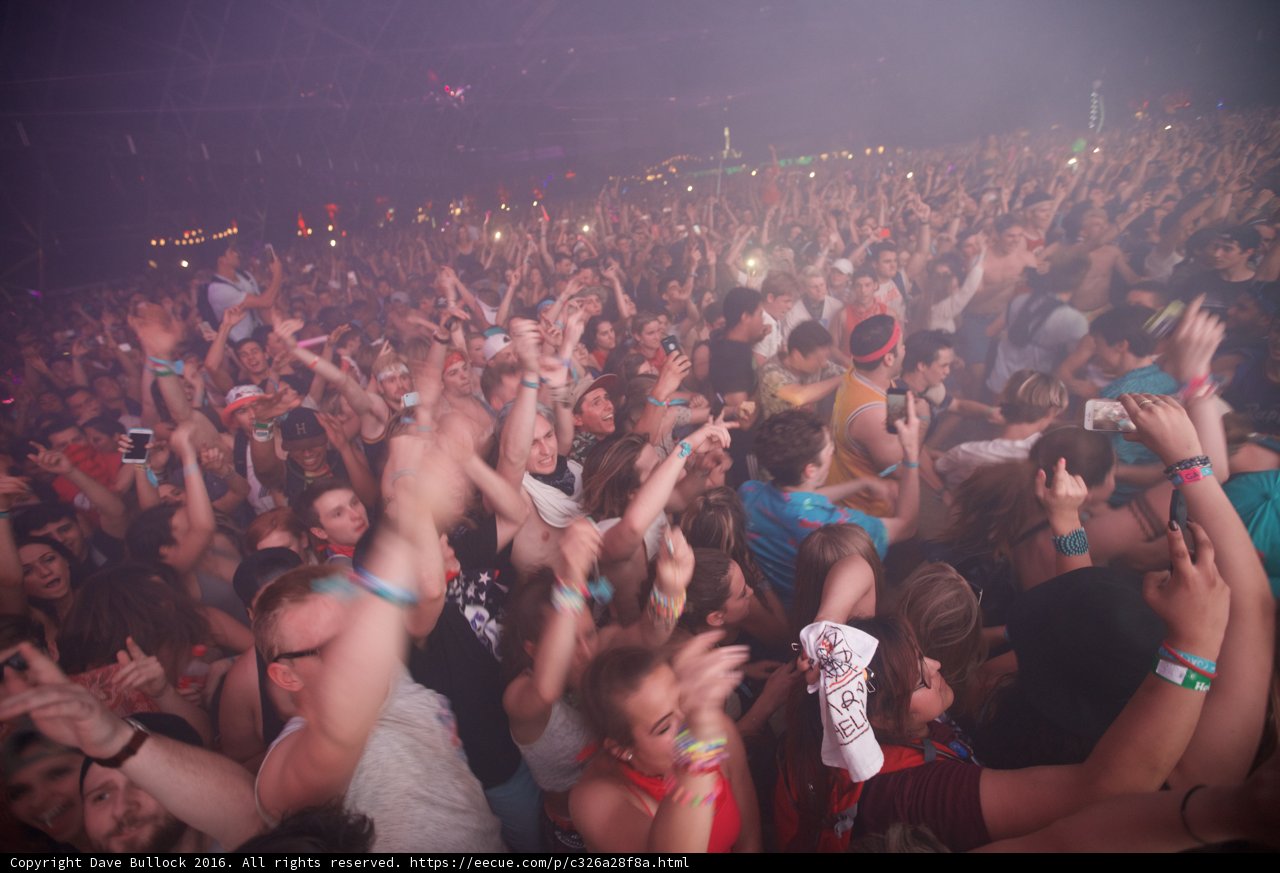 A Music Festival's Electric Crowd