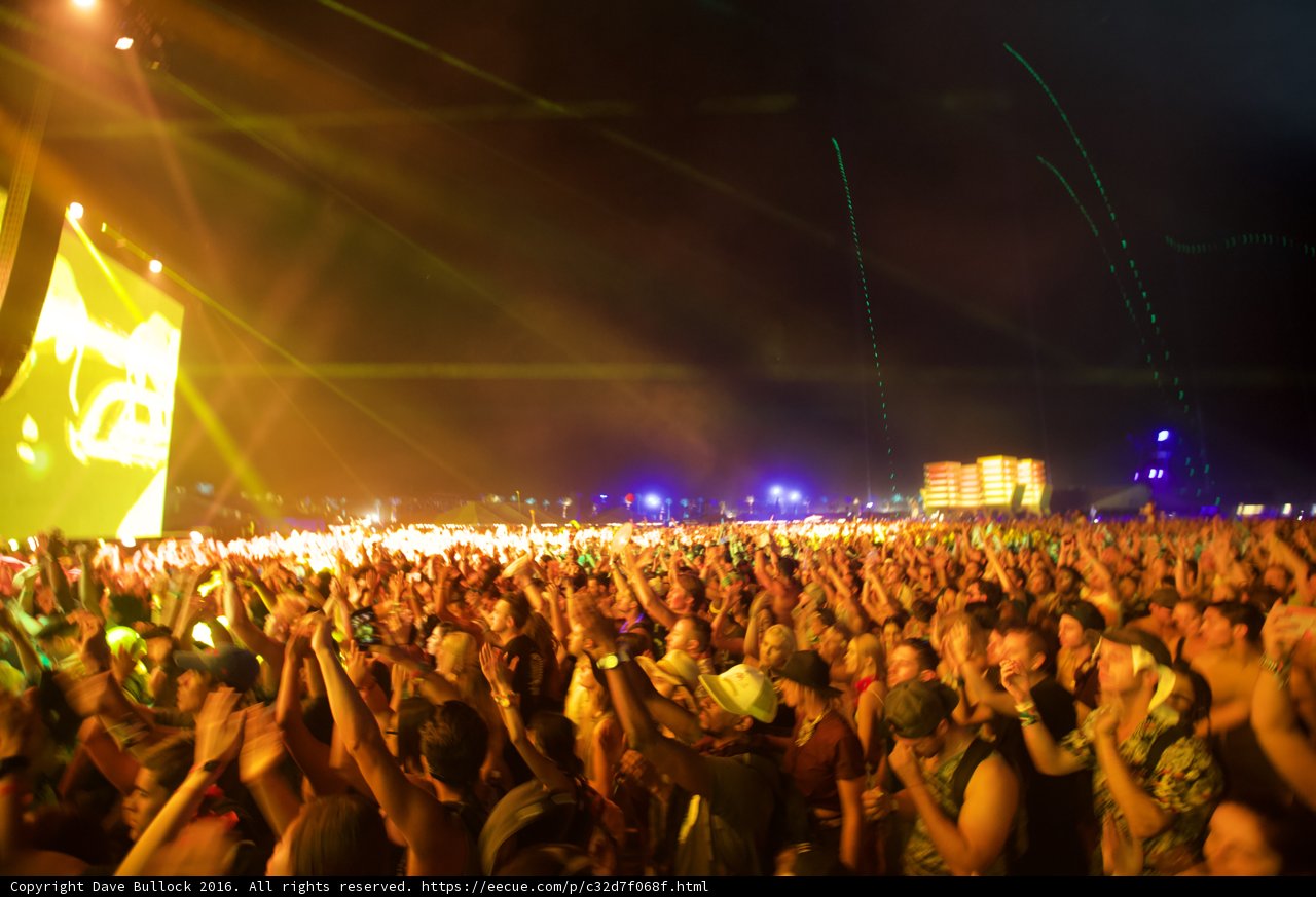Starry Night Crowd