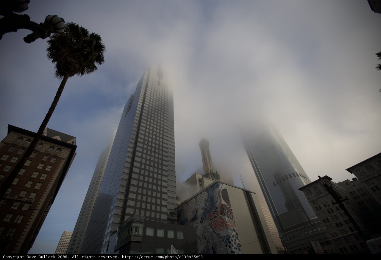 Lost in the Fog of Metropolis