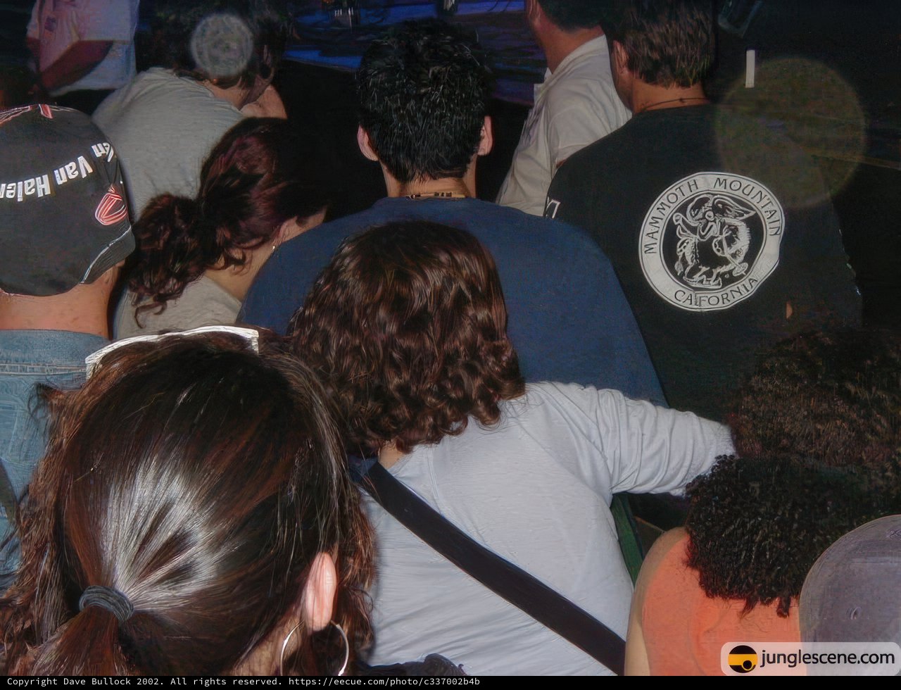 The Diverse Crowd at Coachella 2002