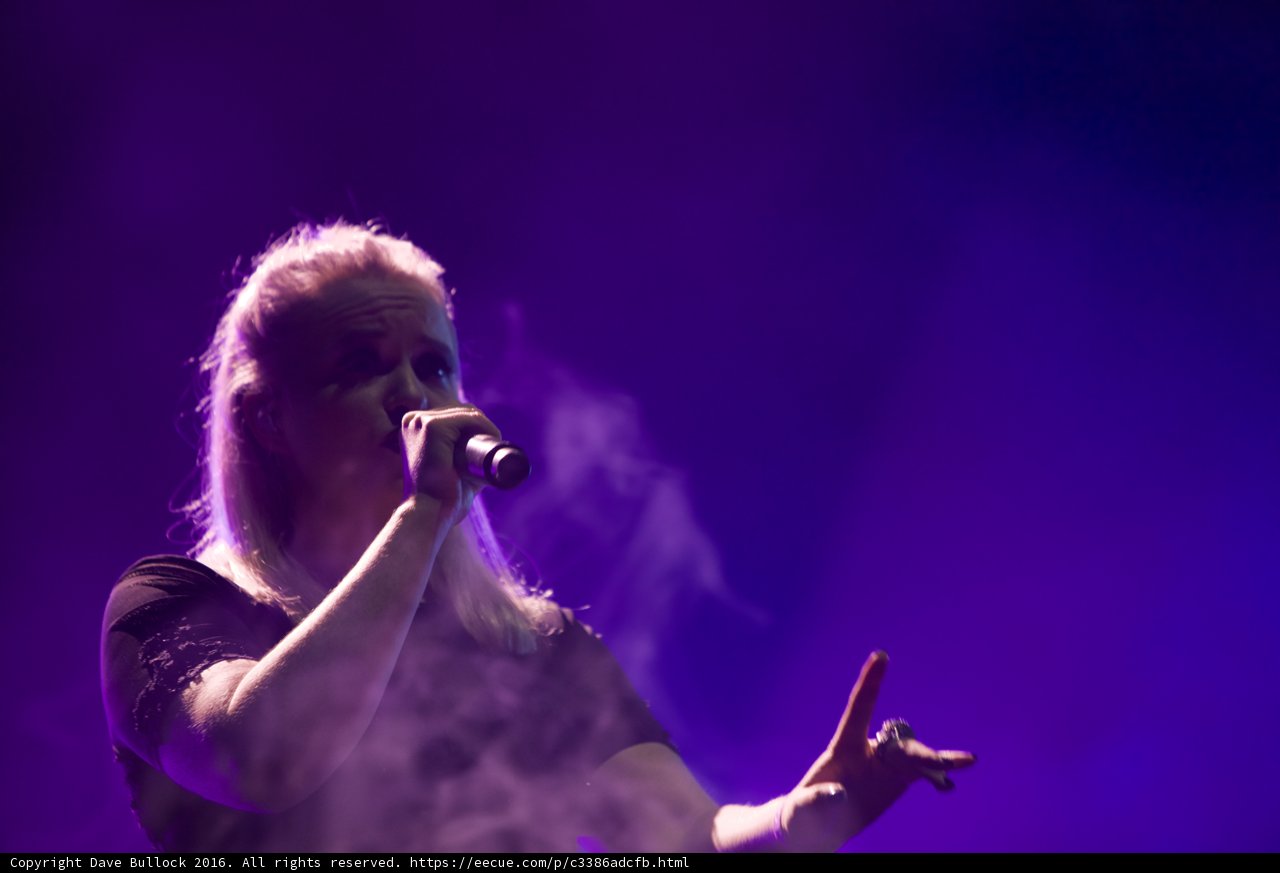 Rocking the Crowd