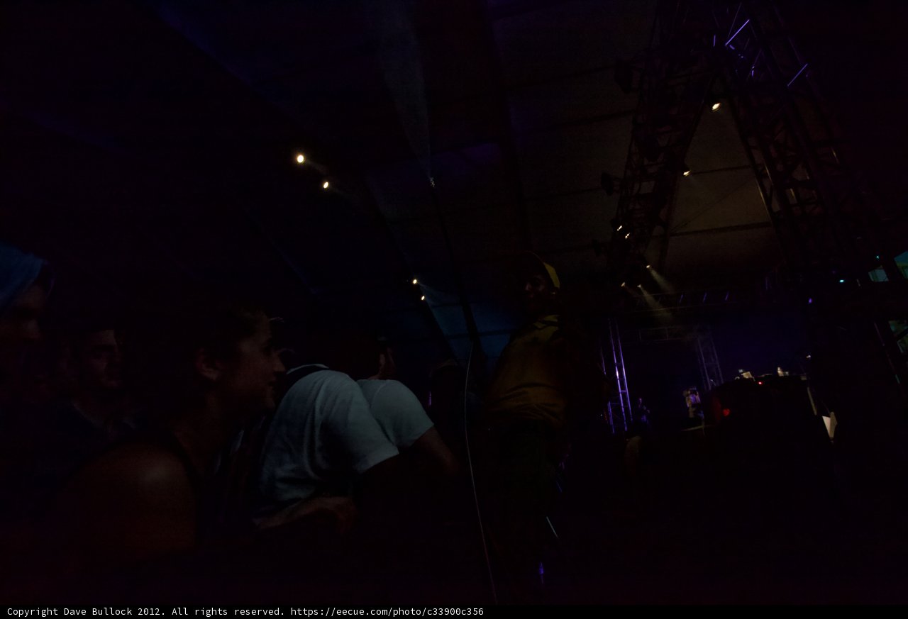 Nightclub Crowd at Coachella