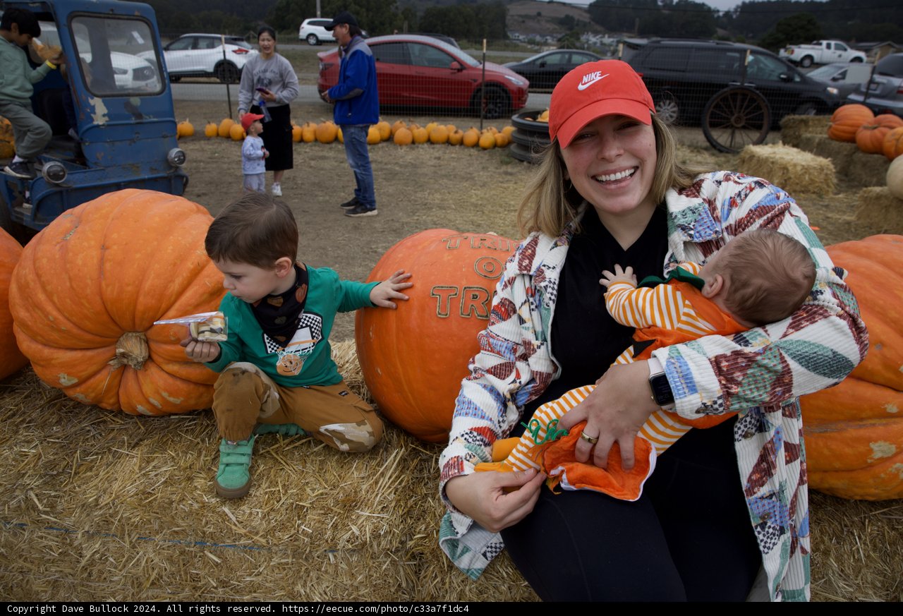 Pumpkin Patch Joy