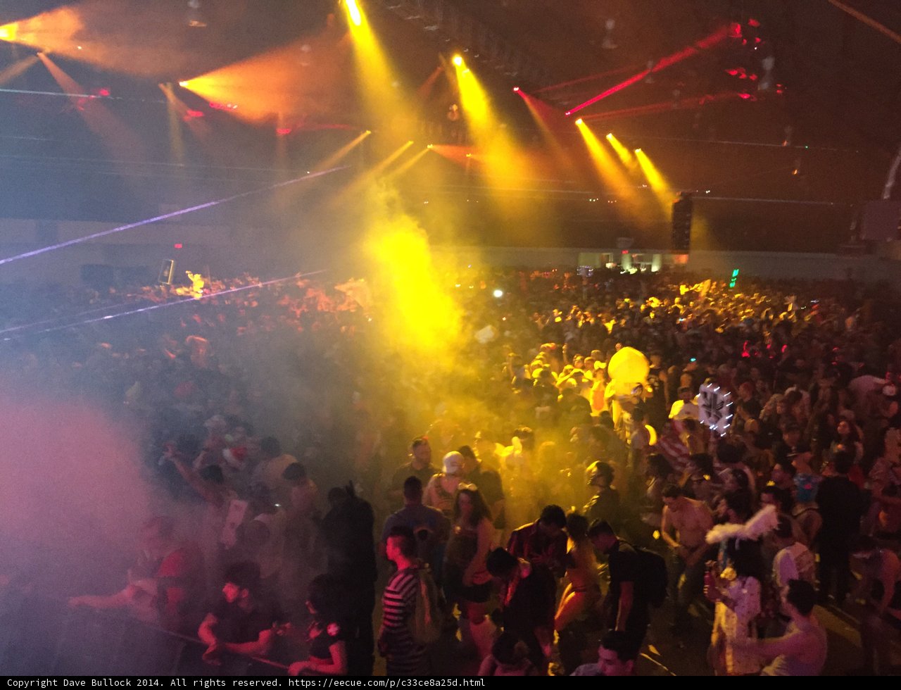 Electric Nightlife