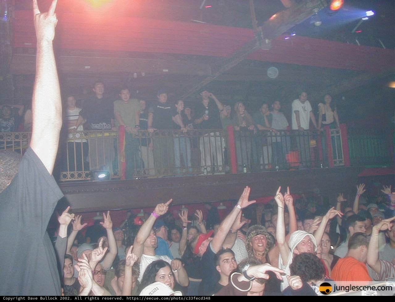 Nightclub Crowd Goes Wild
