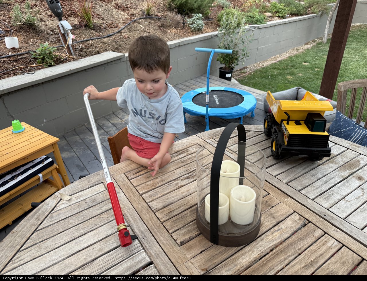 Backyard Adventures