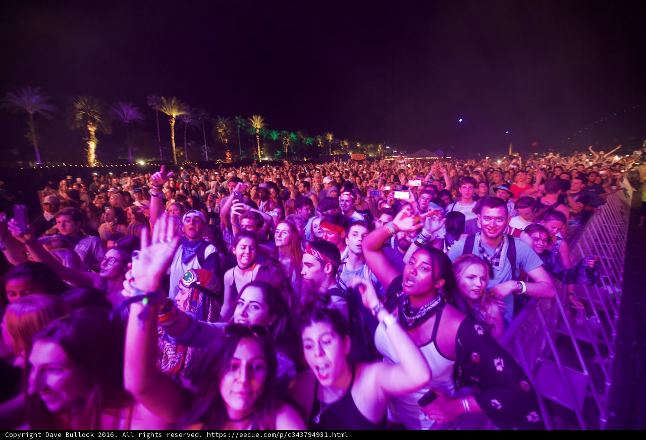 The Crowd Goes Wild