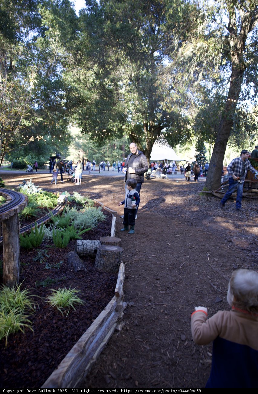 Woodland Wonders at Thistlewyck