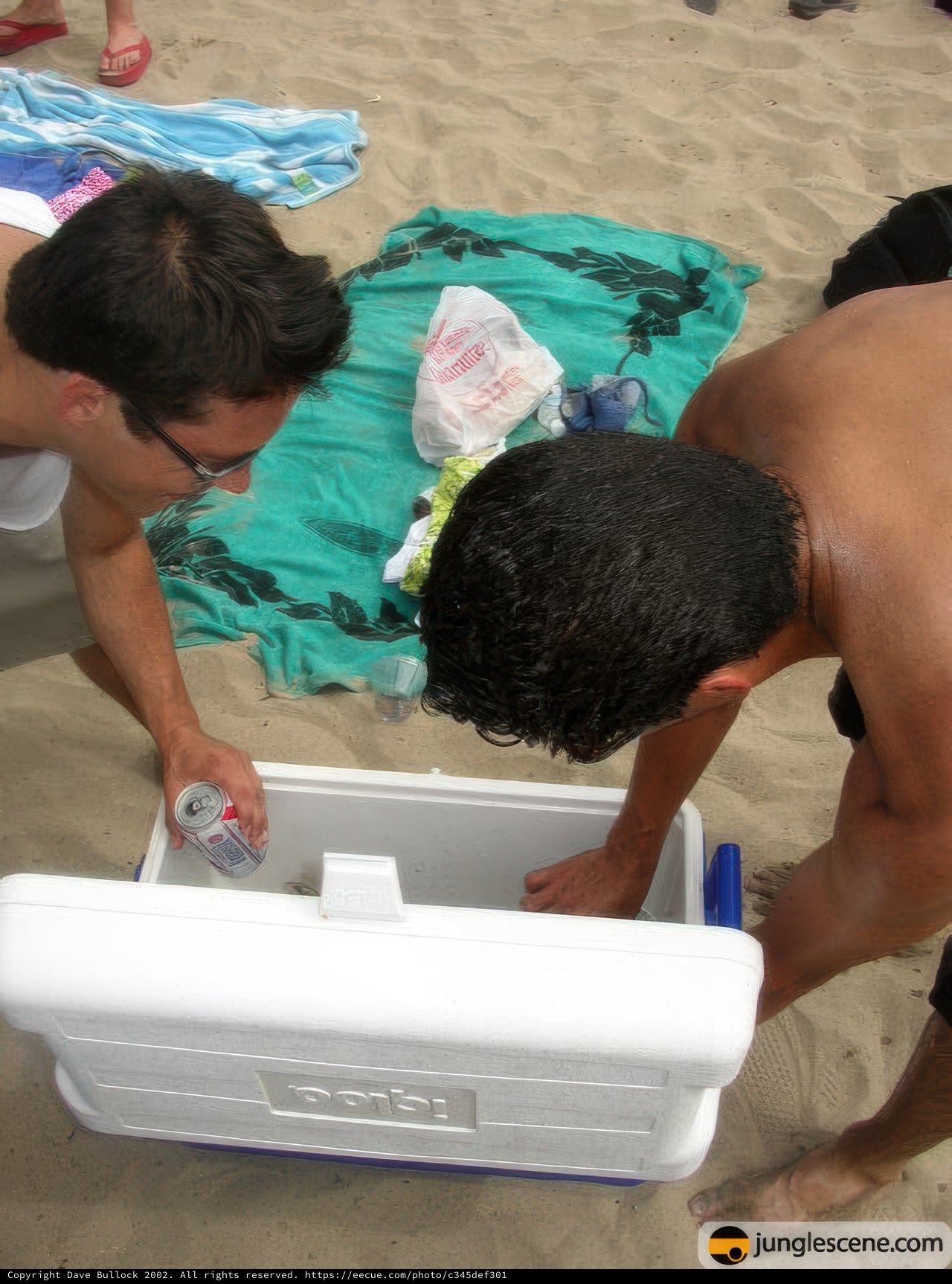Beach Day Fun