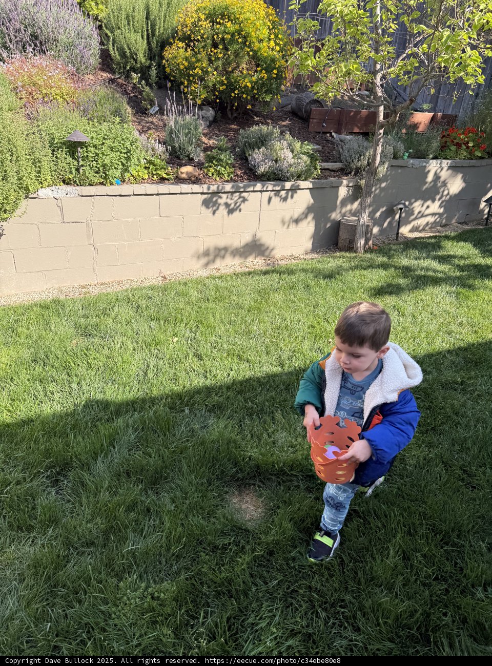 Backyard Baseball Adventure