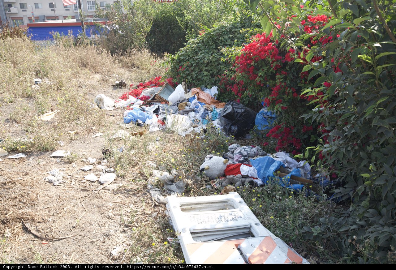 Trash and Flowers