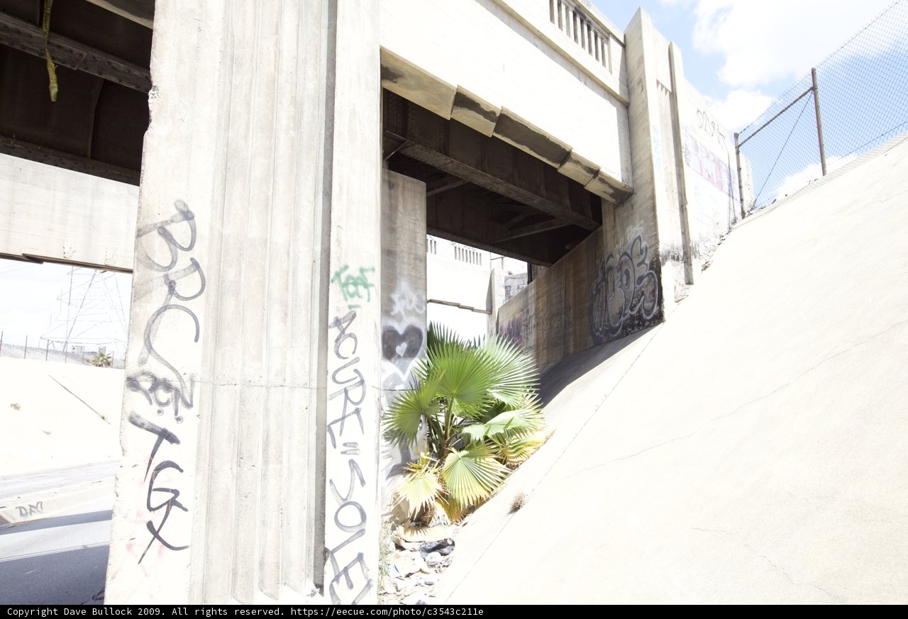 Ripping Through the Concrete Jungle