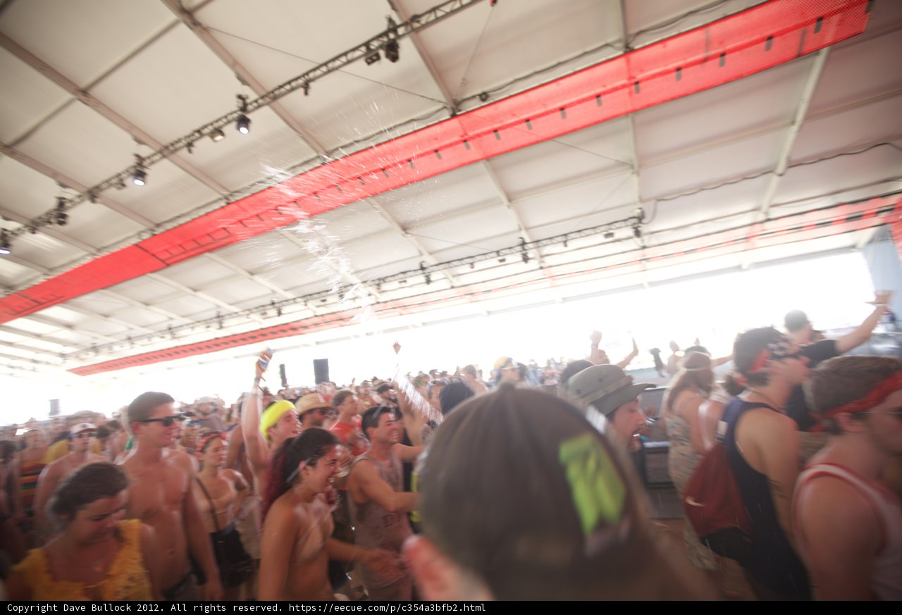 Coachella Crowd Goes Wild