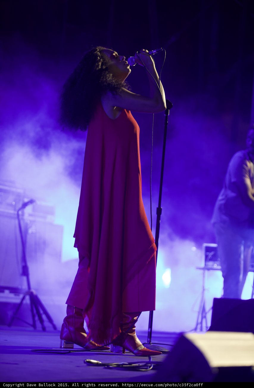 Solange Head Tilted Up Mic Stand Band Member Purple