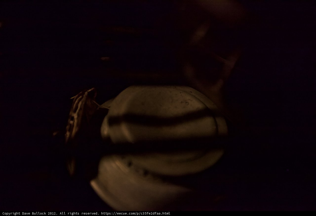 Up Close and Steamy