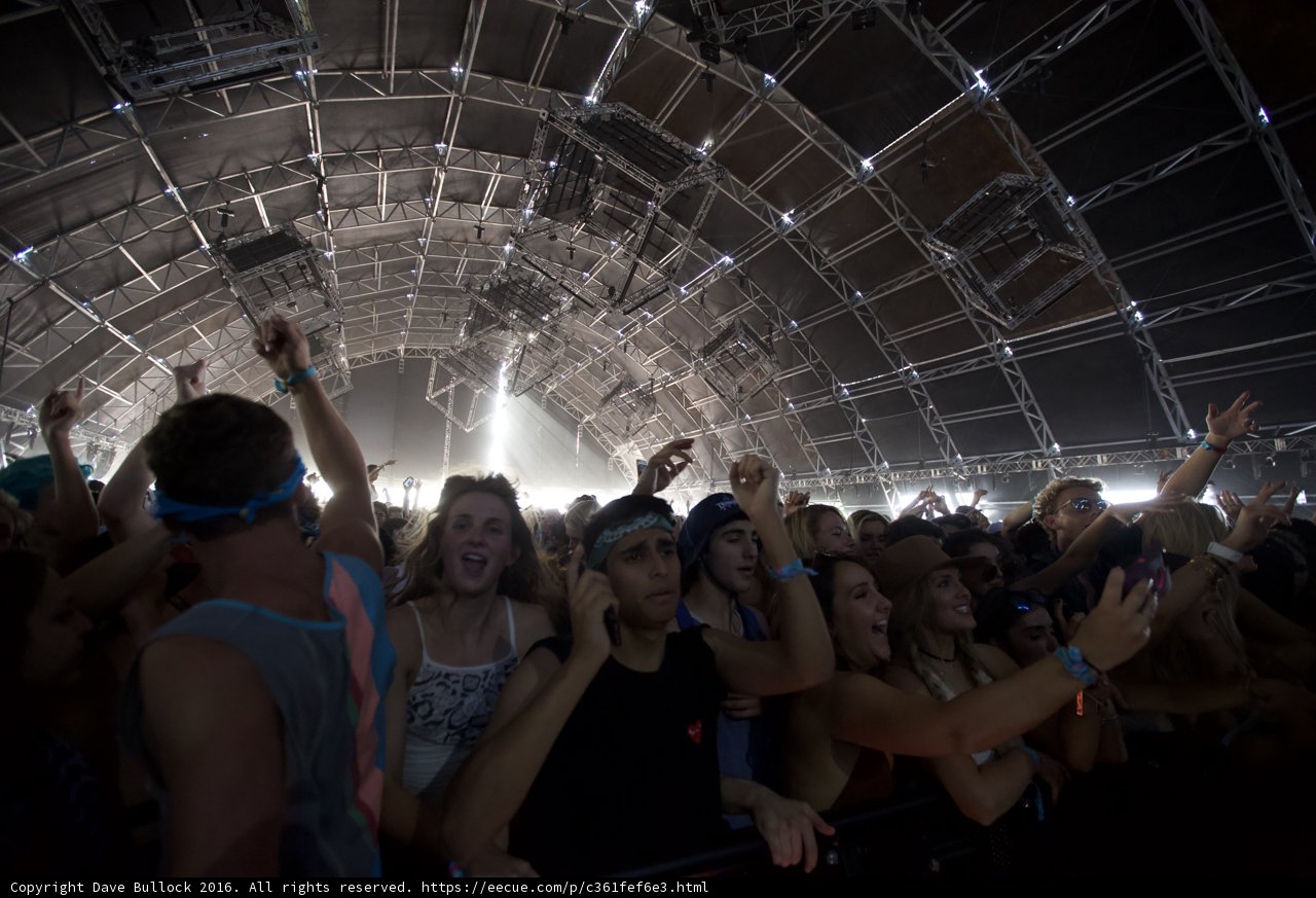 Party in the Crowd