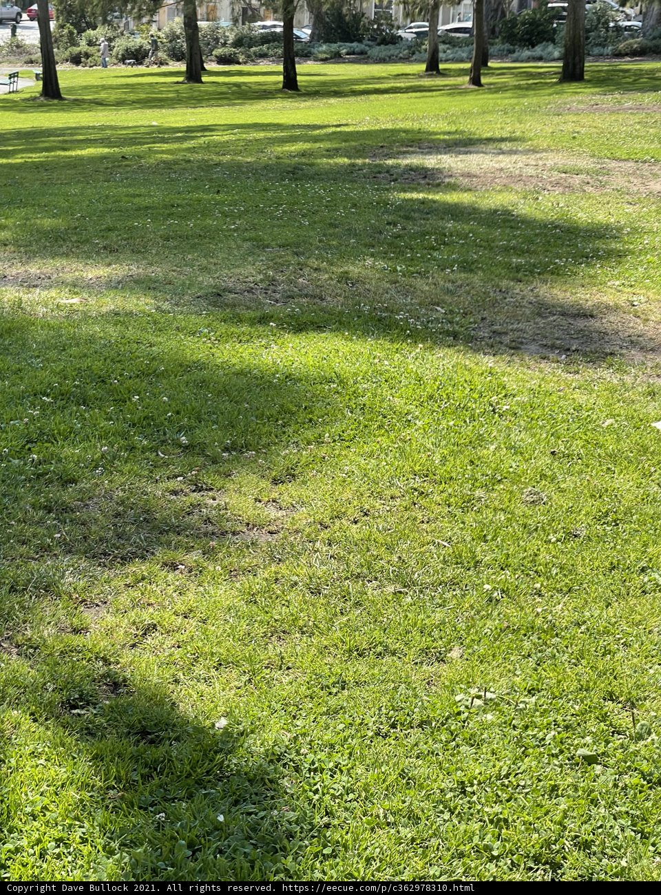 Serene Escape at Jefferson Square Park