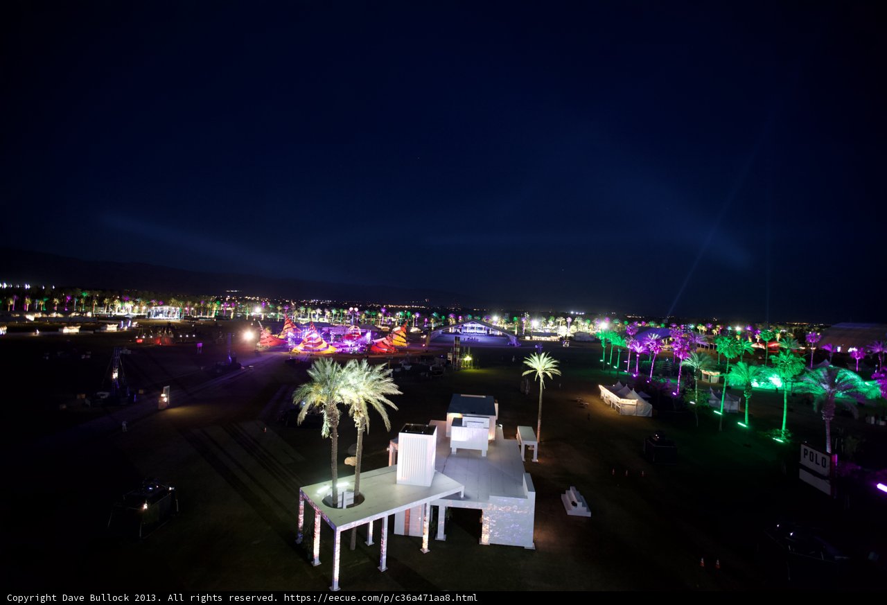 Festival Lights Amongst the Palm Trees