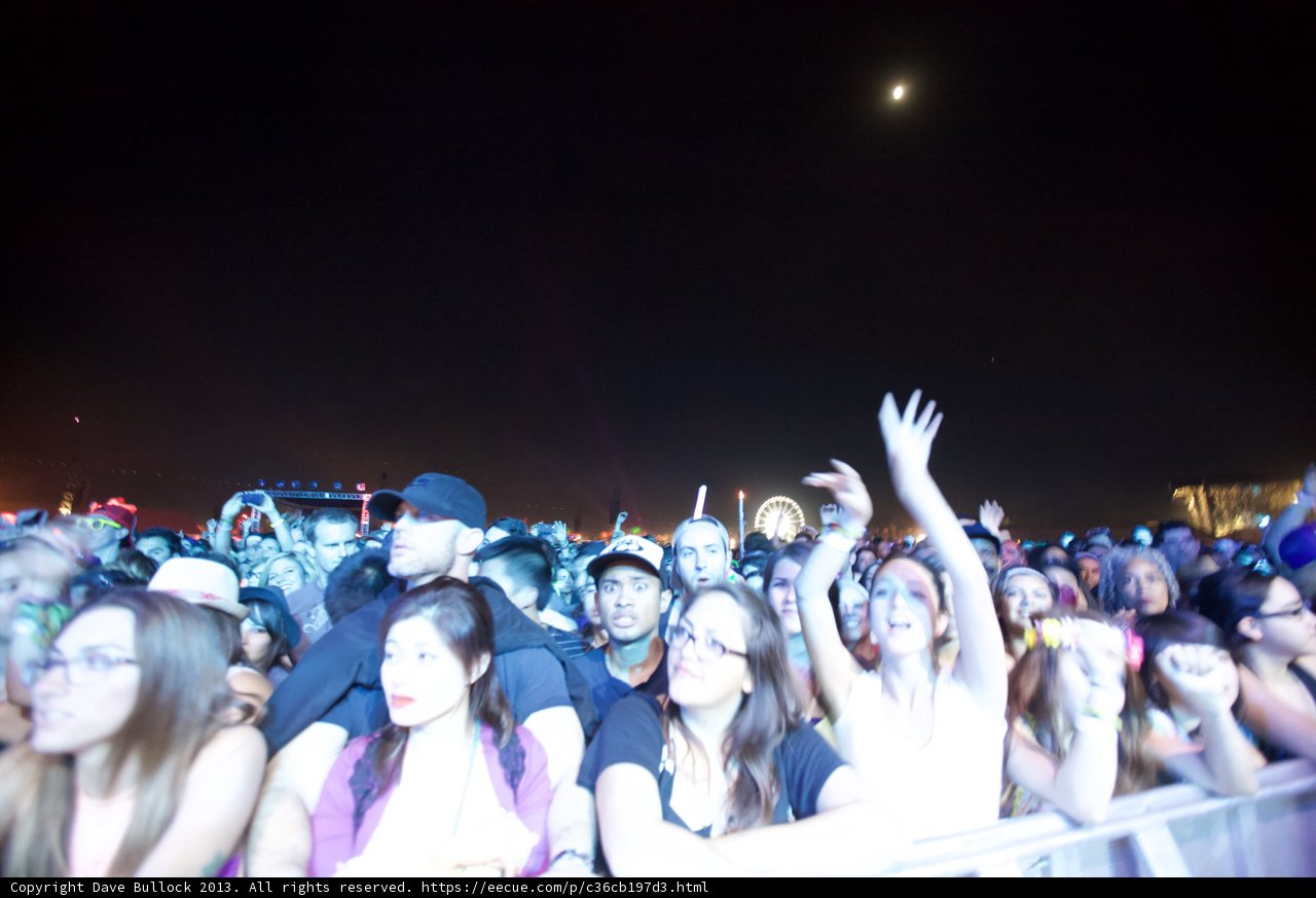 One in the Crowd