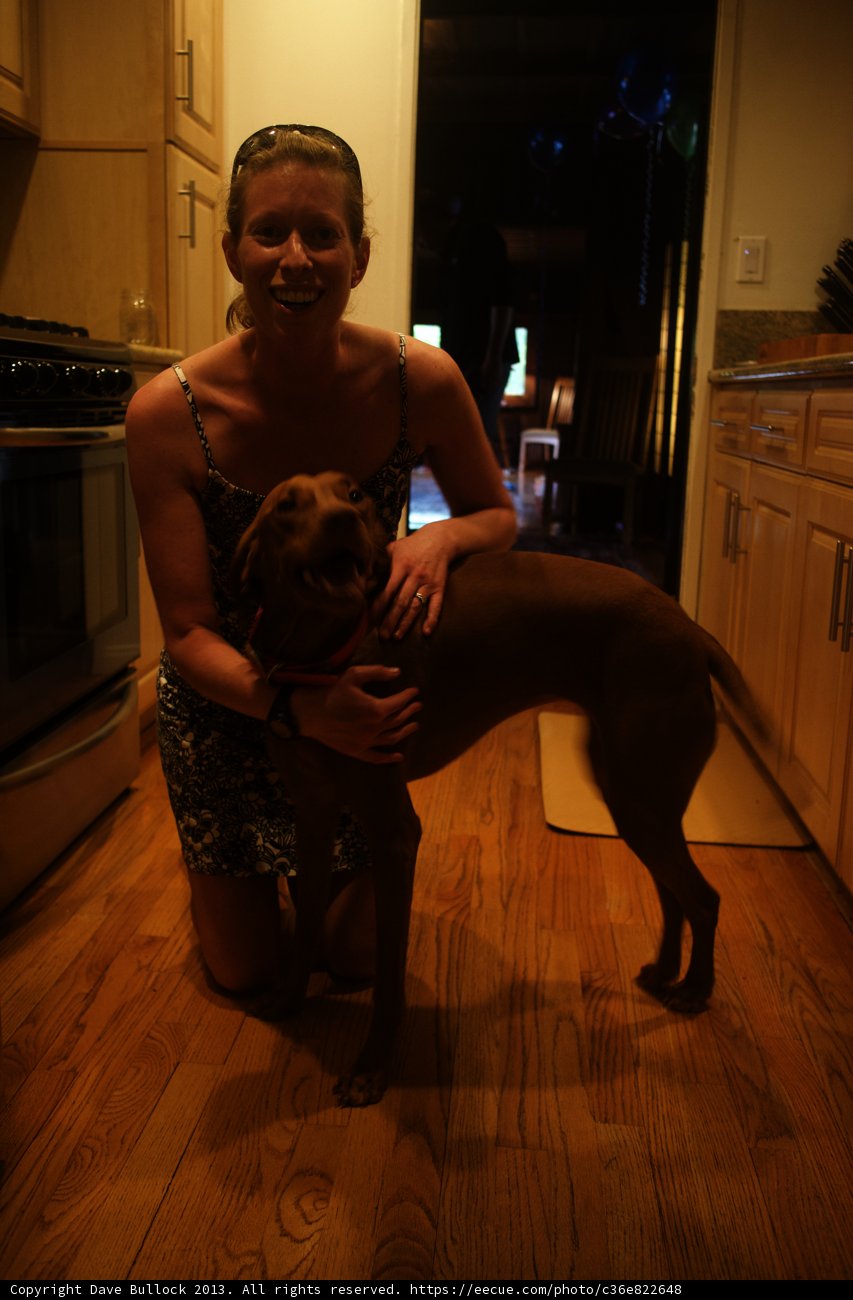 The Woman and her Canine Companion