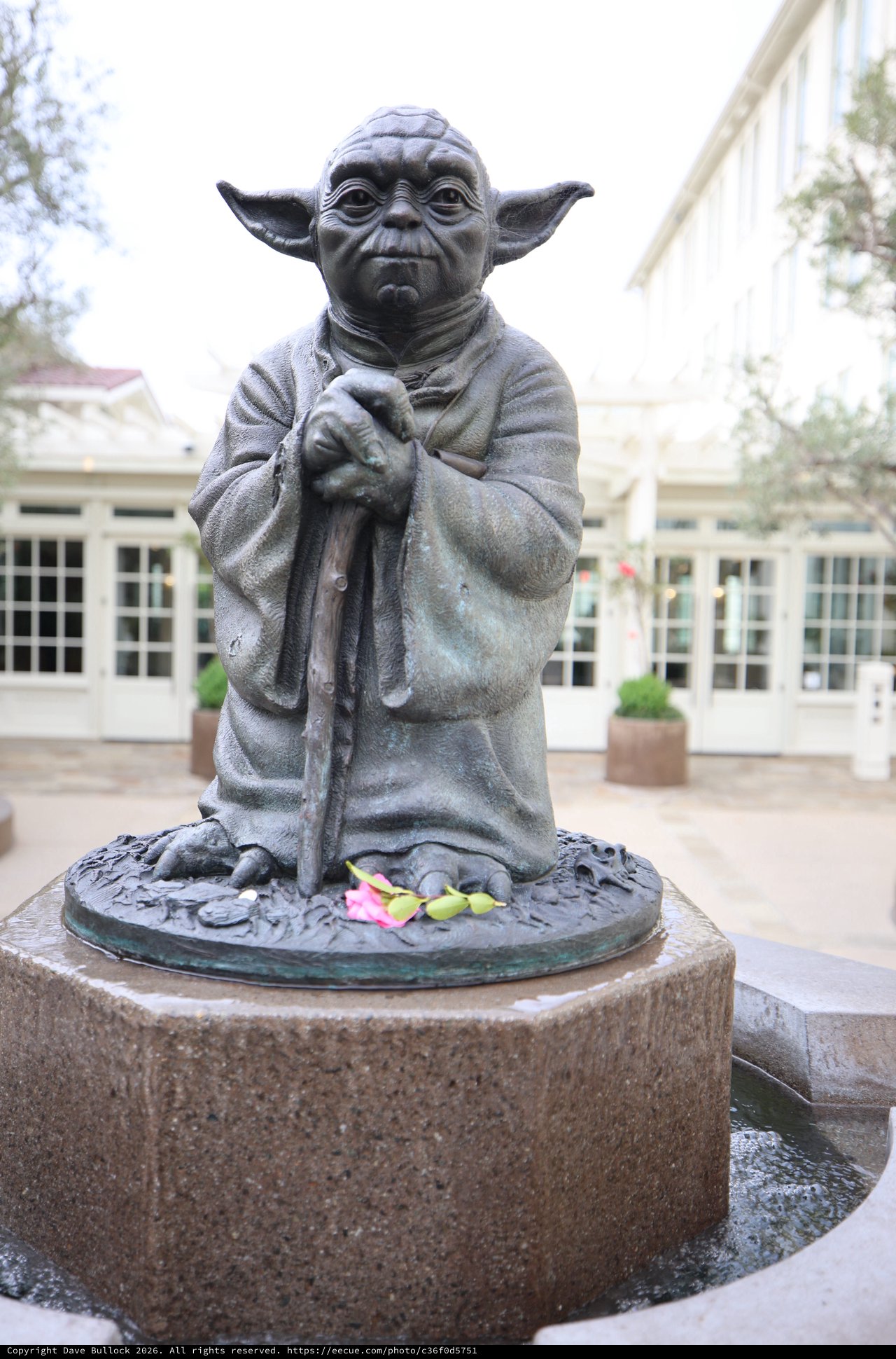 Yoda Statue at Skywalker Ranch Fountain