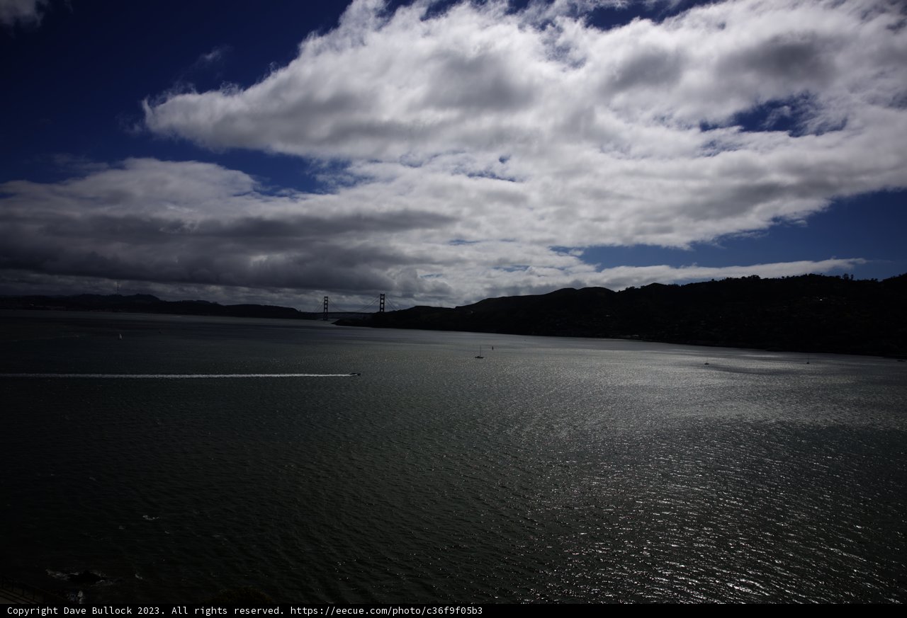 Serene Tiburon Bay Overlook