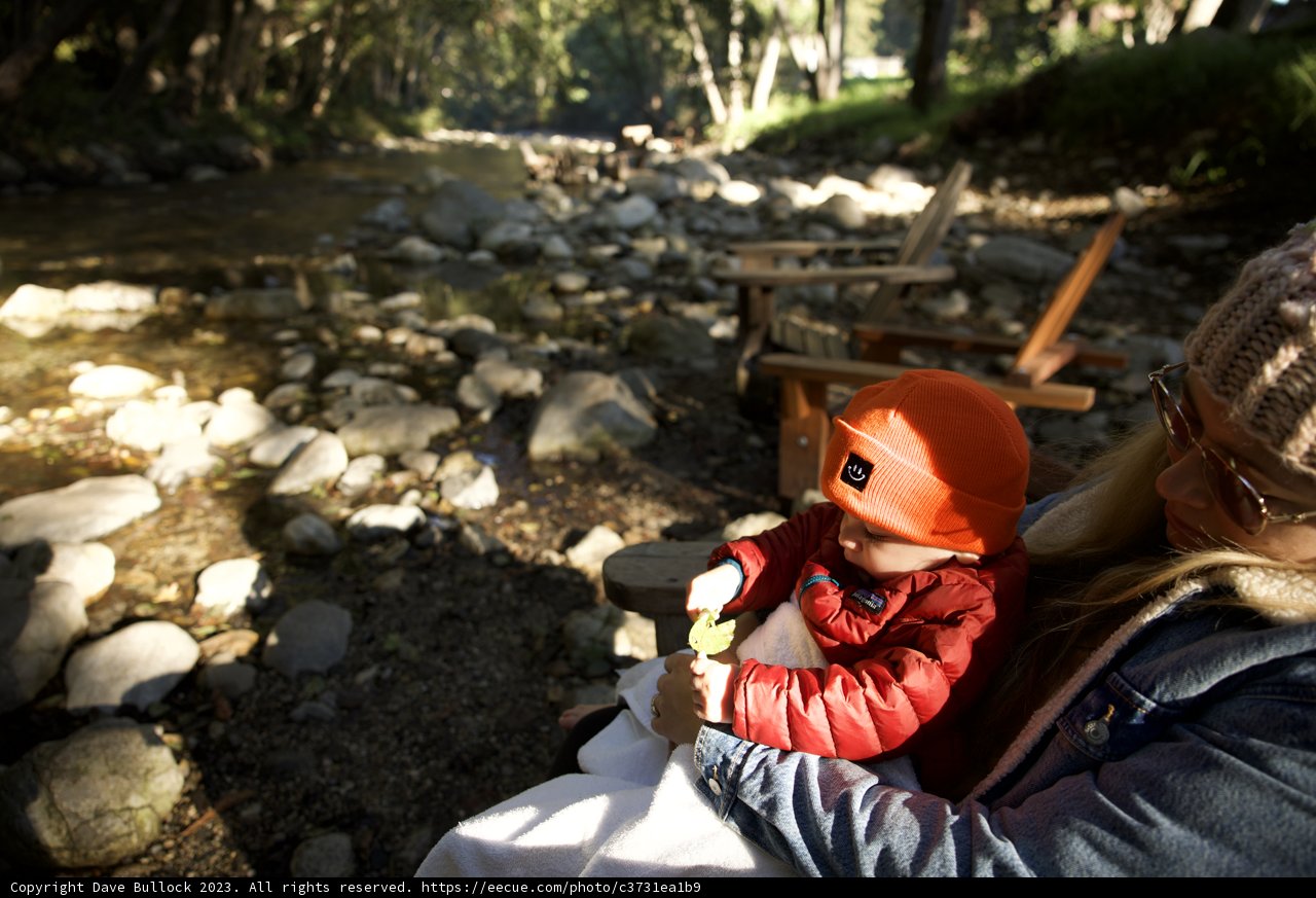Serene Moments by the Stream: Adventures of Filiz and Co.