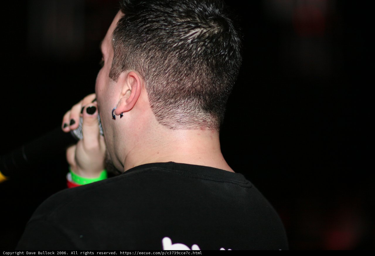 Inked Up and Ready to Rock