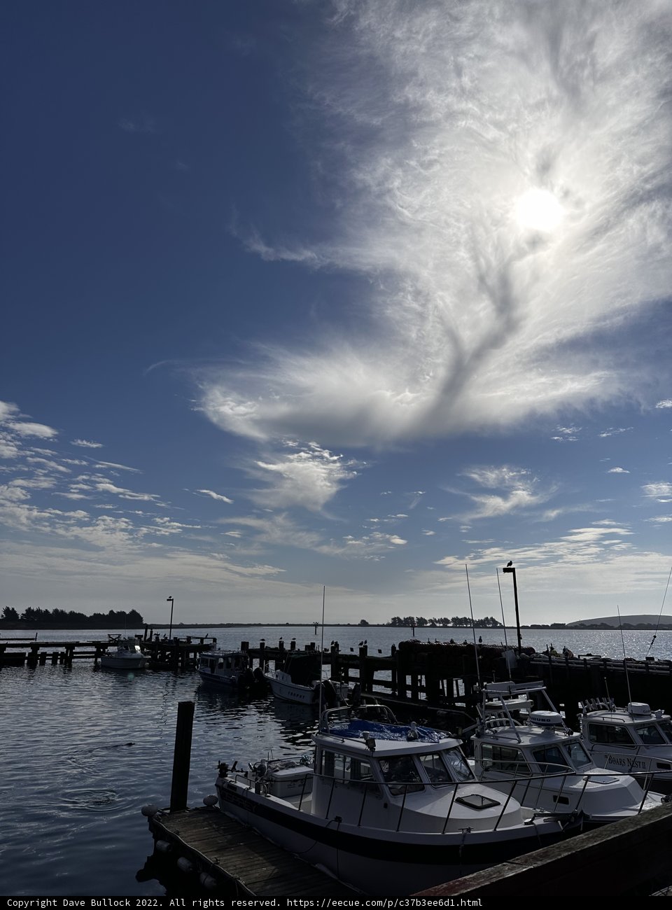 Peaceful Harbor Scene