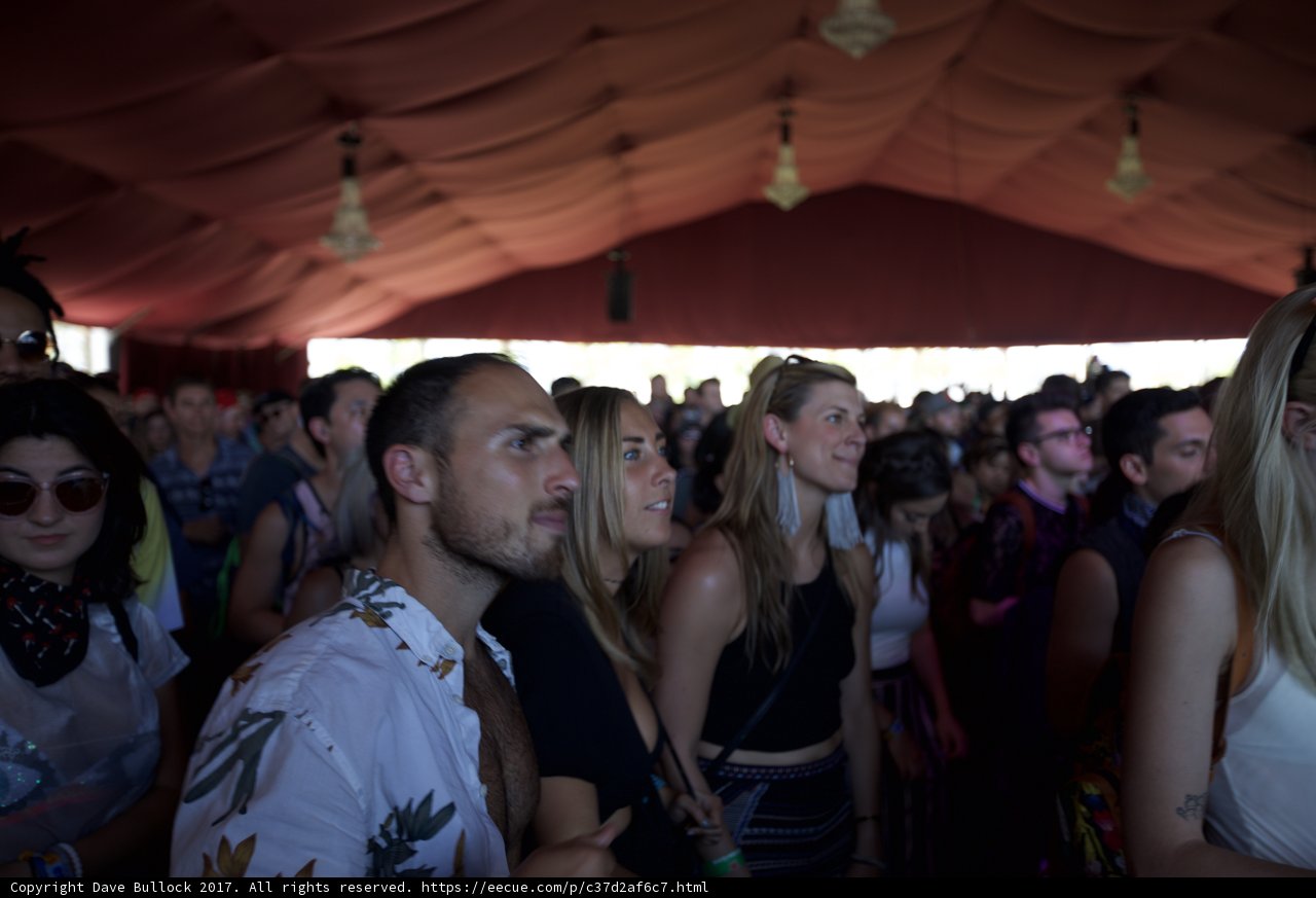 Party in the Tent