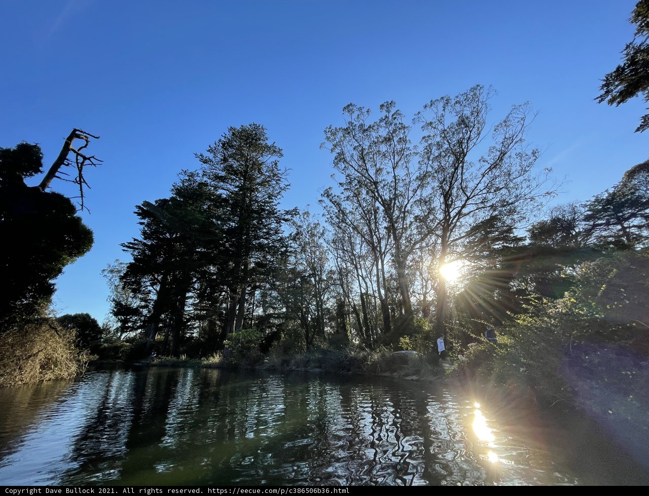 Golden Light on Stow Lake