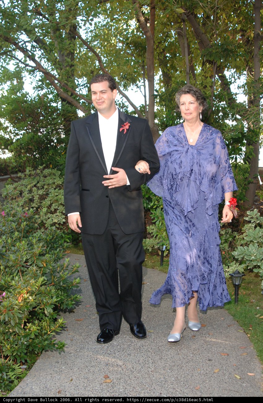 Formal Attire for a Romantic Walk