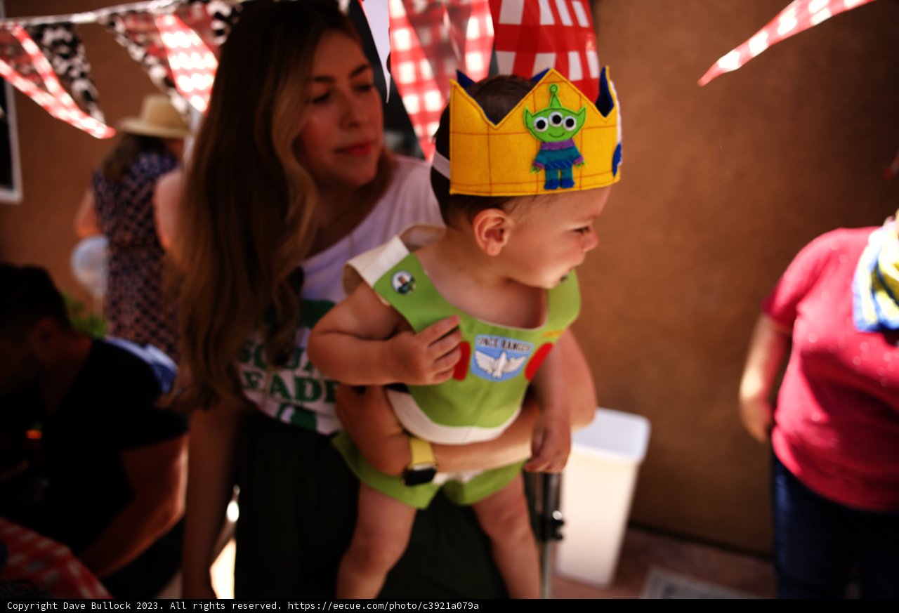 Wesley's Royal First Birthday Celebration