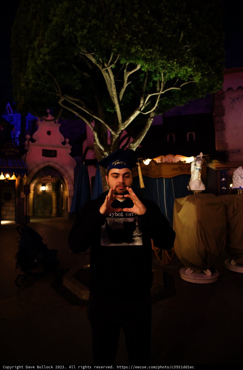 Magical Selfie Moment Under the Tree