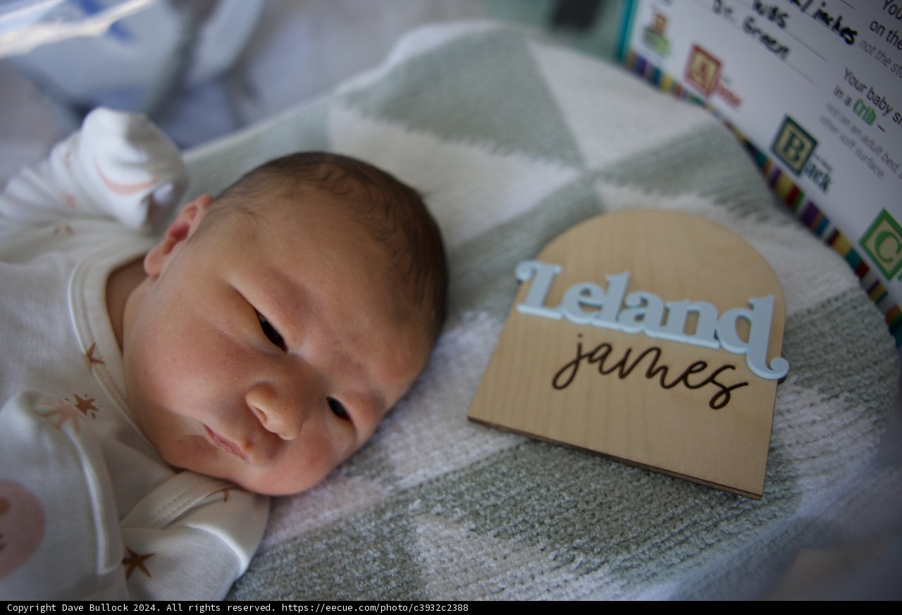 Welcome to the World, Leland!