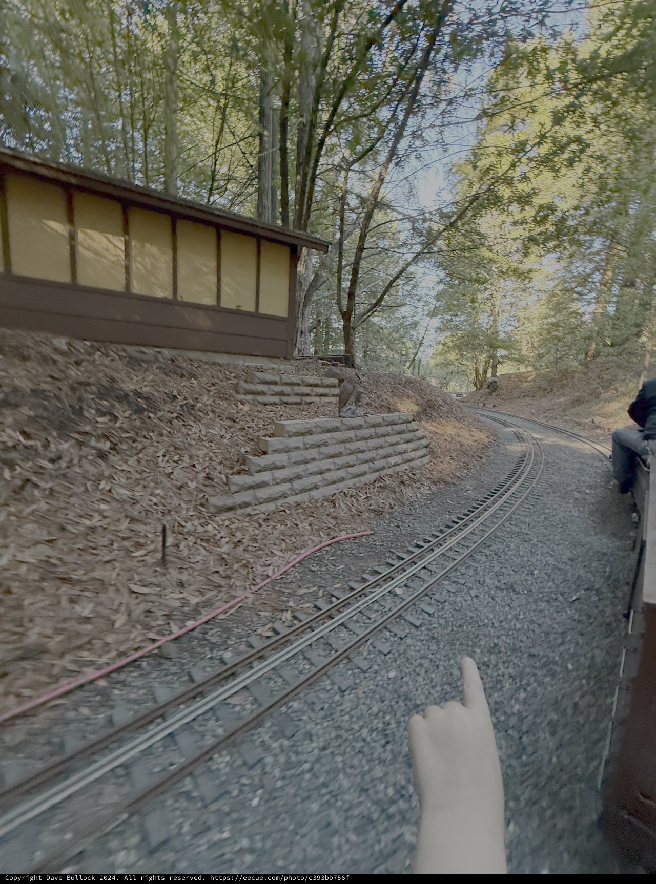 Riding the Rails Through Forest Parkland