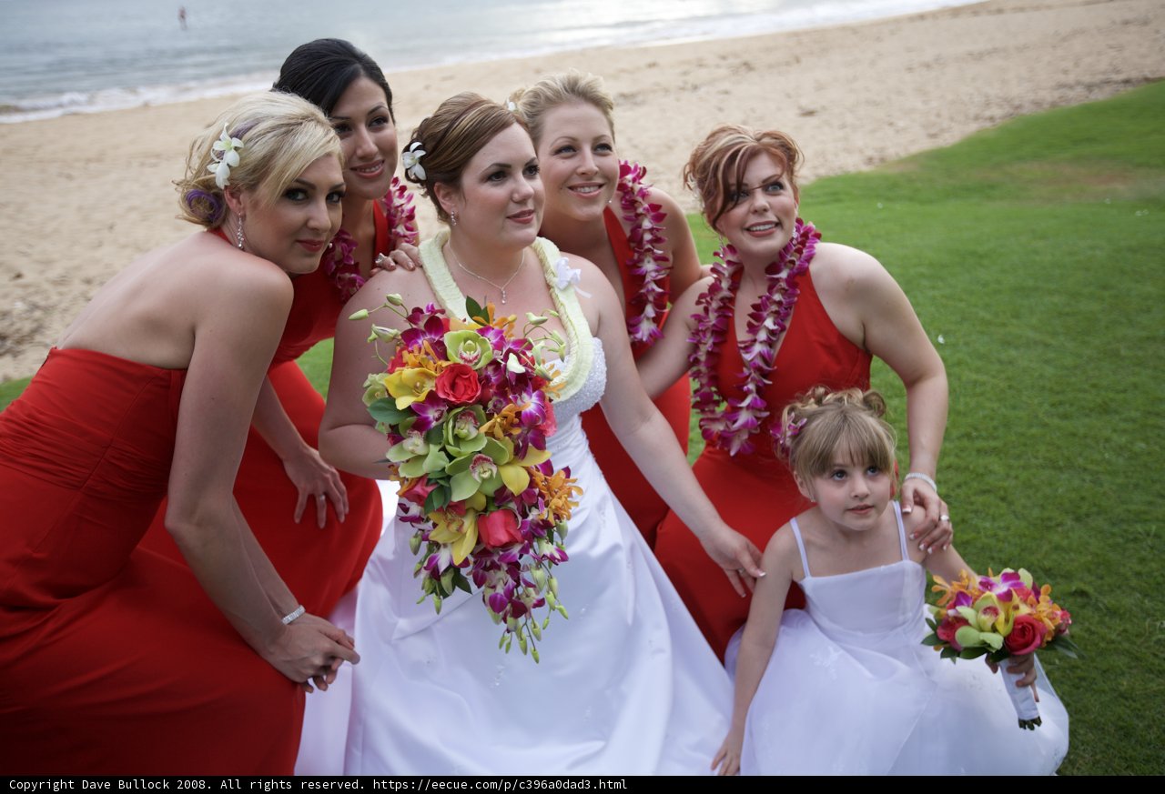 Beach Wedding Bliss
