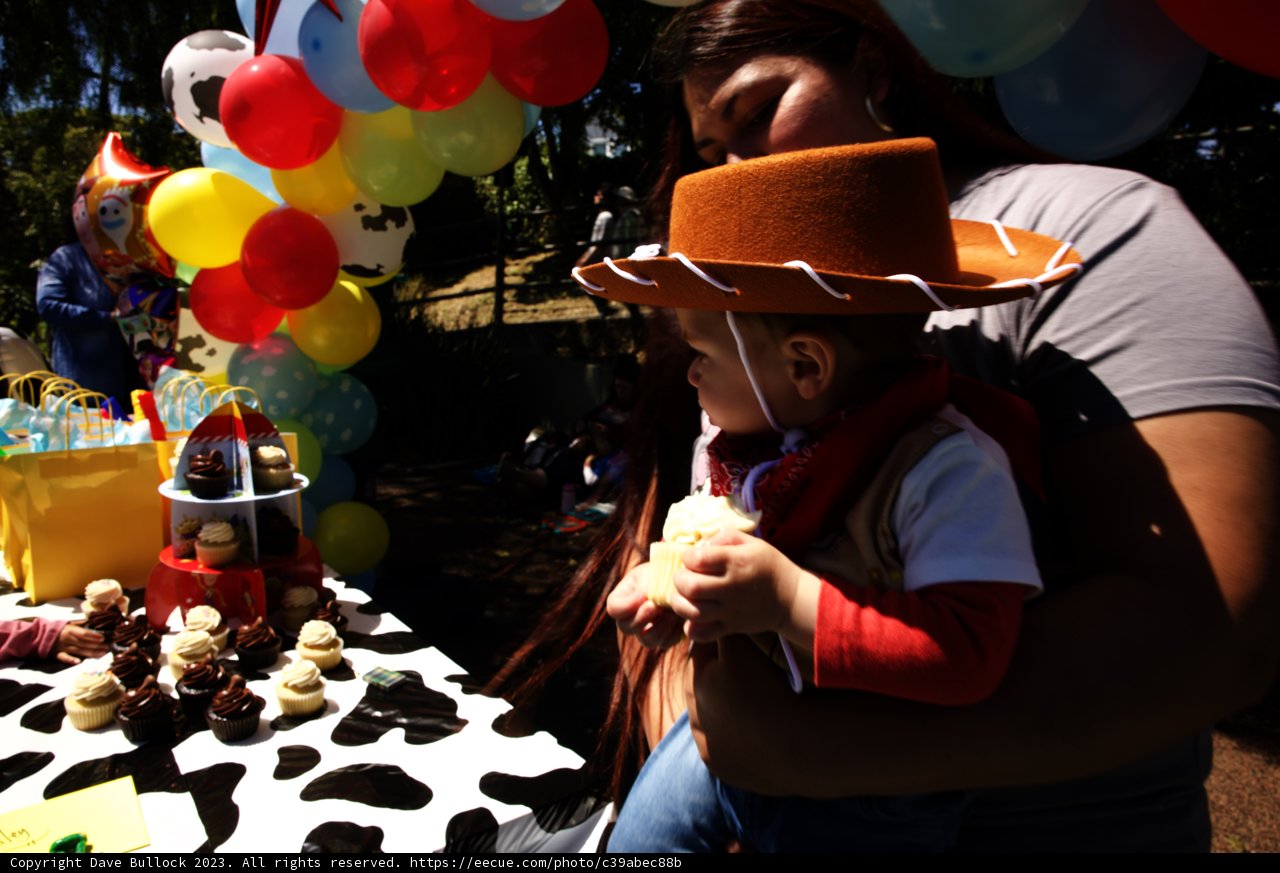 Wesley's First Birthday Rodeo