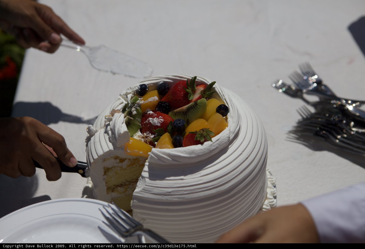 Delicious Fruit Torte Dessert