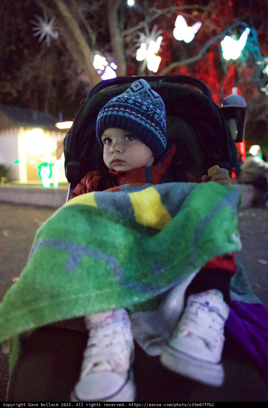 Blissful Moments at Glowfari Oakland Zoo