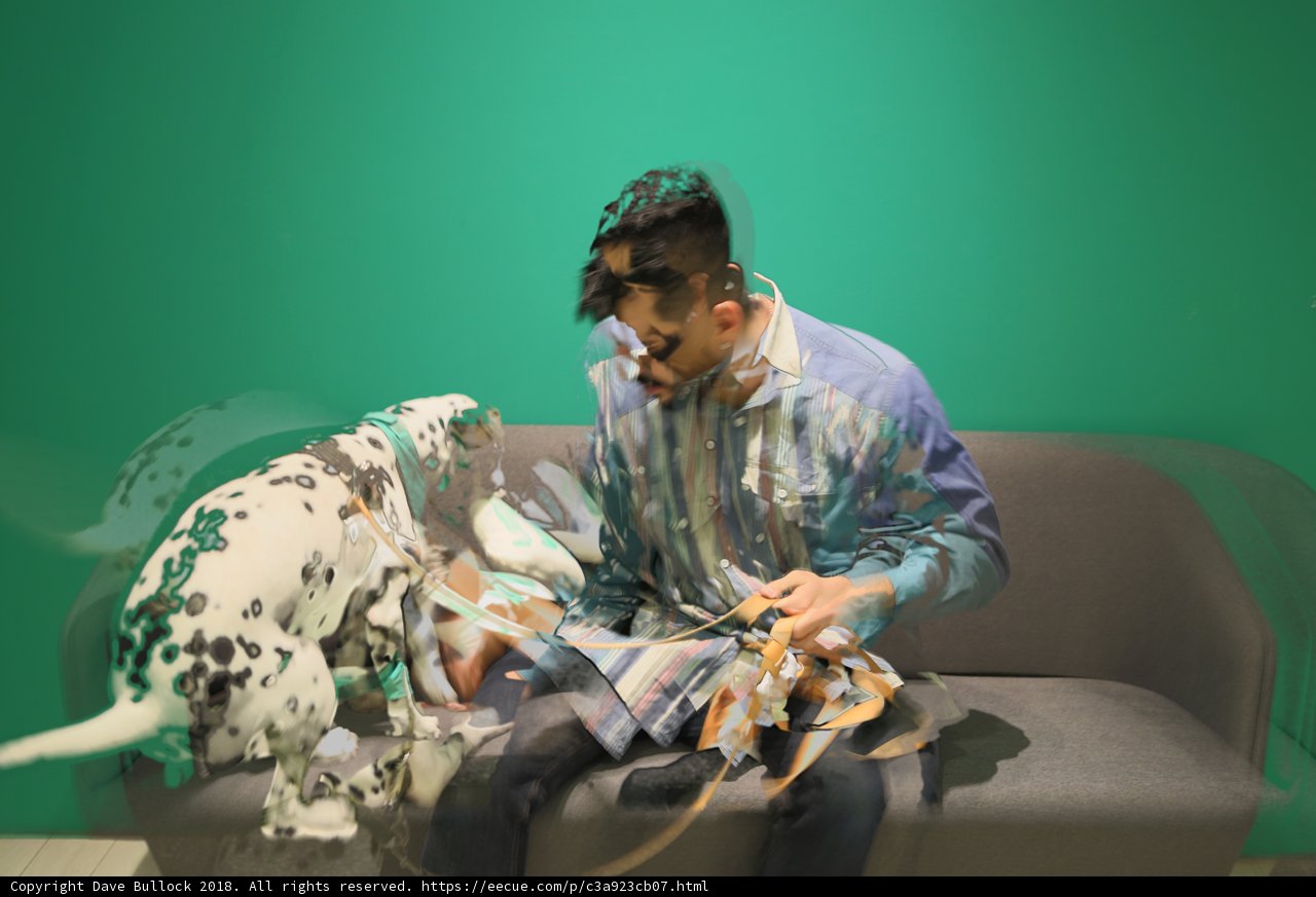 Man and his Dalmatian on the Couch