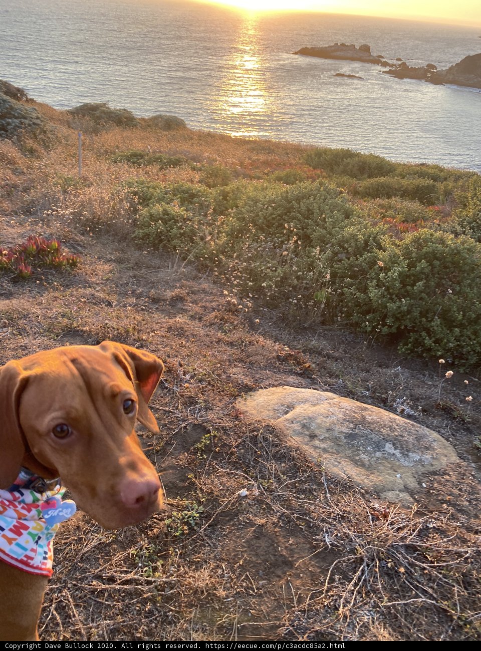 Colorful Bandana on a Hillside
